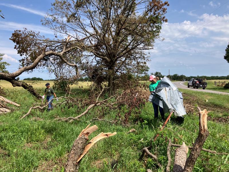 Employees remove sheet metal and debris from field