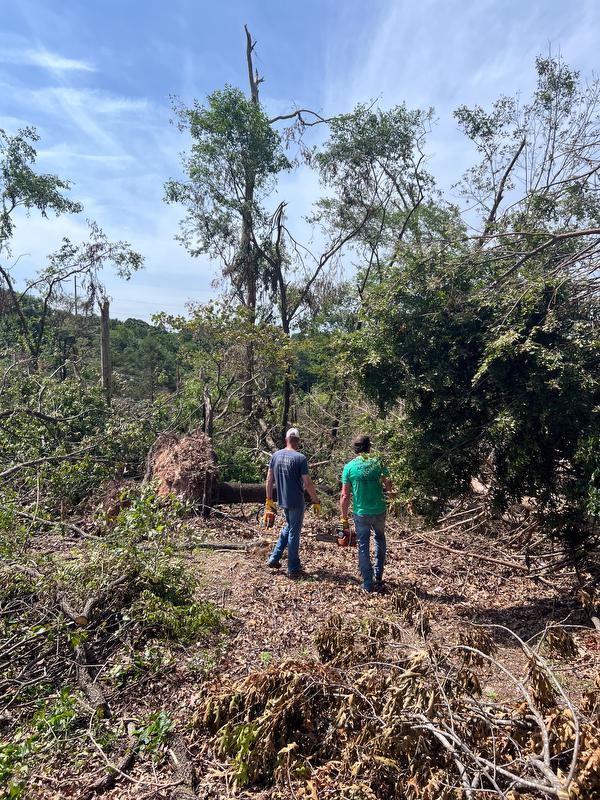 Employees look upon storm damage