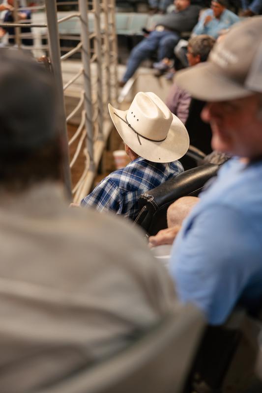 Glen Ford can be found every Thursday at the Hope Livestock Auction’s noon sale.