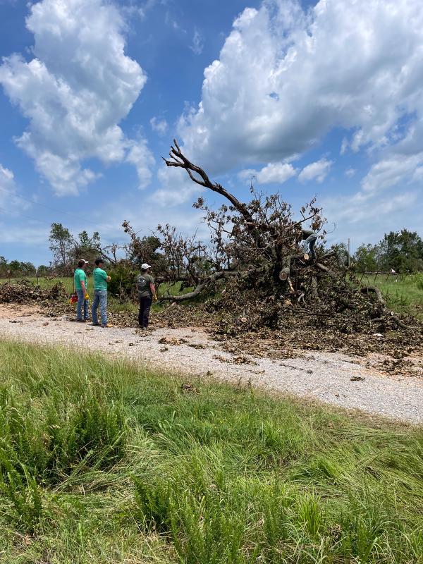 Farm Credit of Western Arkansas employees look upon downed tree