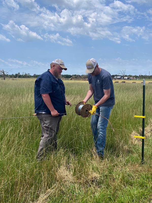 Employees mend electric fence