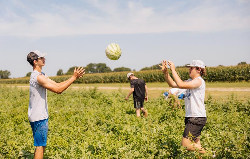 Two boys toss a watermelon as they prepare to load it on a truck