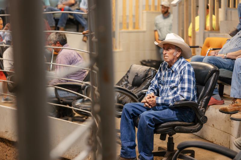 Glen Ford can be found every Thursday at the Hope Livestock Auction’s noon sale.