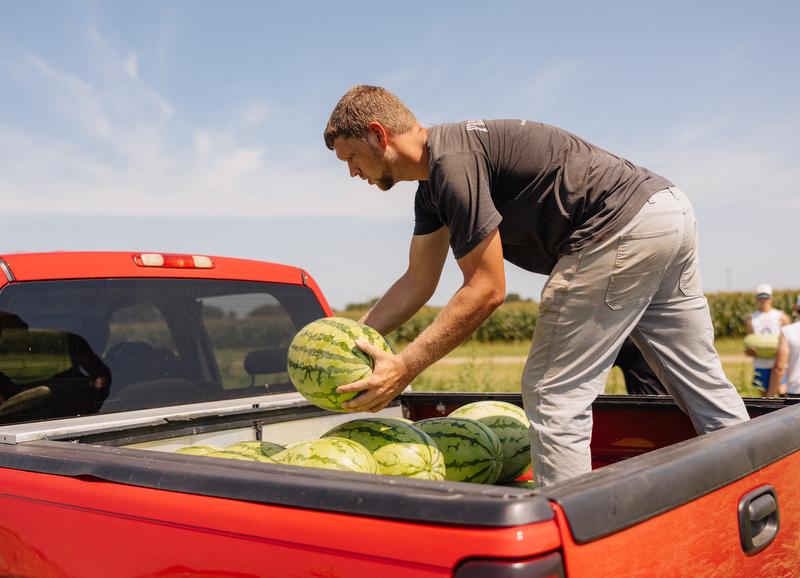 Loading watermelons on truck