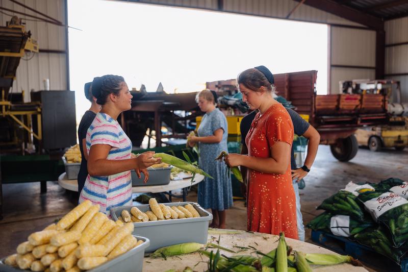 Two girls shuck sweet corn