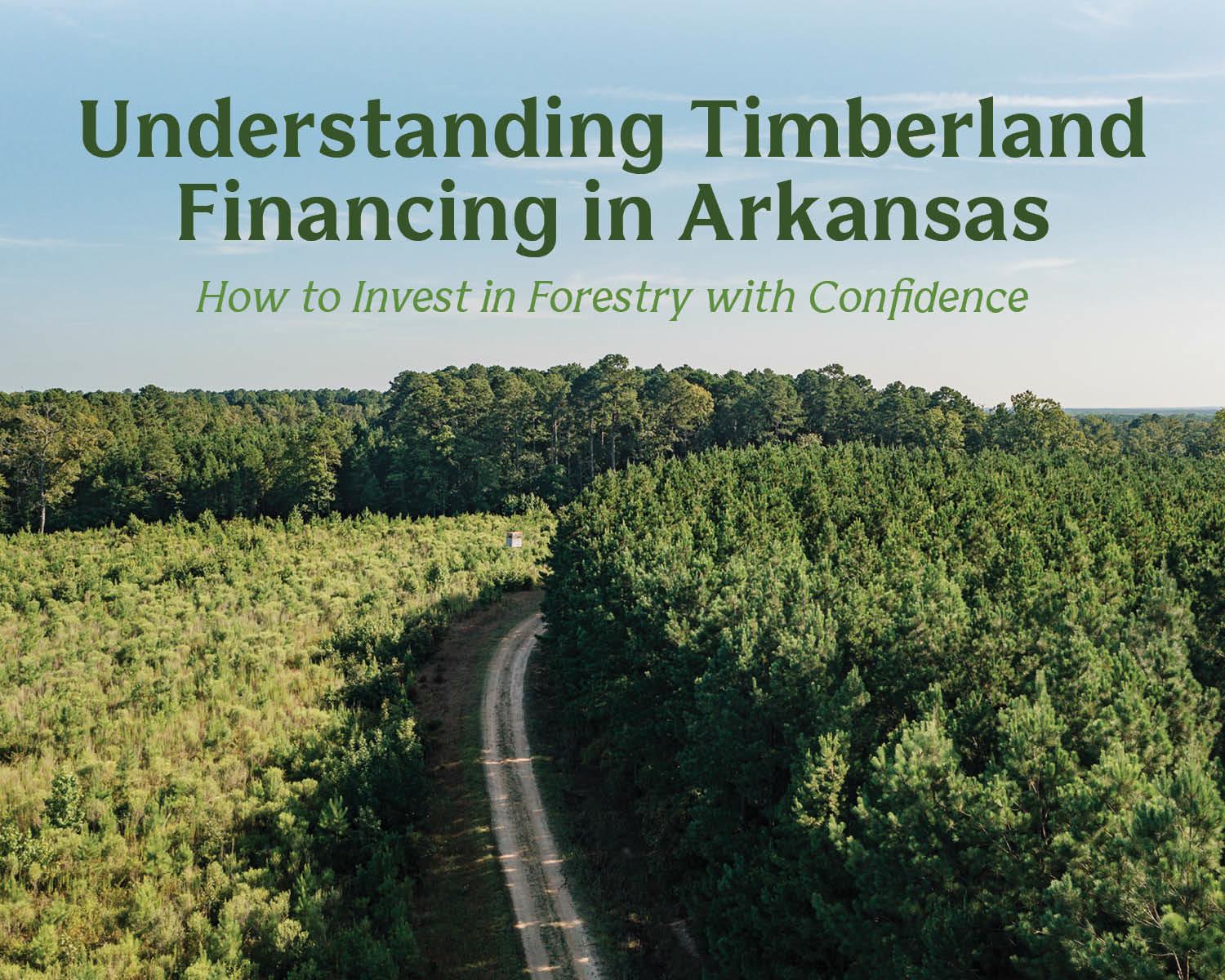 Arkansas timberland financing   forestry investment Arkansas   timber loans Arkansas   Farm Credit timber loans   how to finance timberland   timber investment opportunities Arkansas   forestry land loans