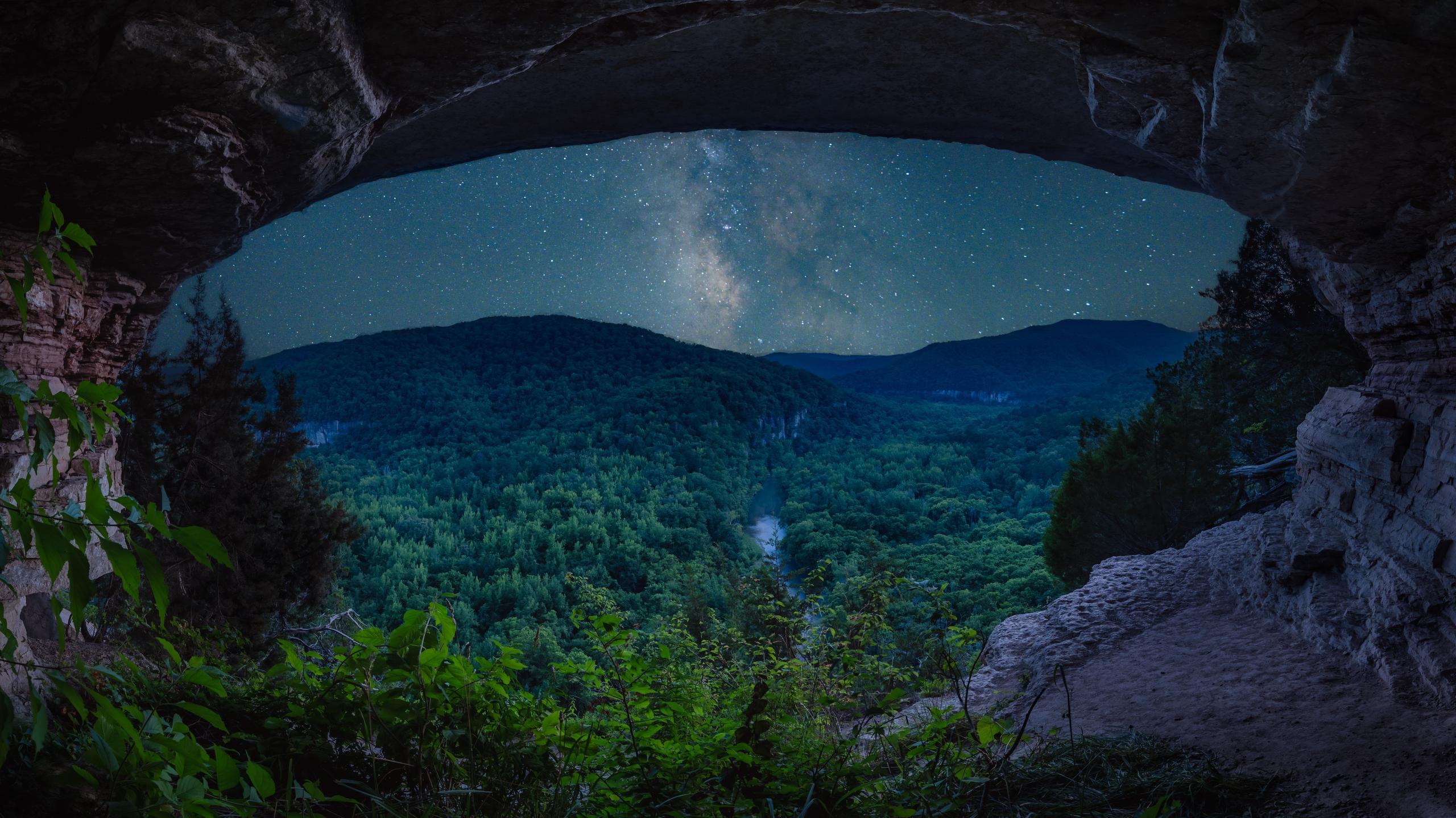 Night time photo of wooded landscape