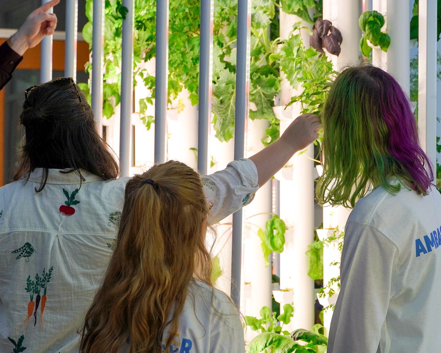 Arkansas Grown School Garden of the Year